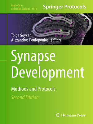 cover image of Synapse Development